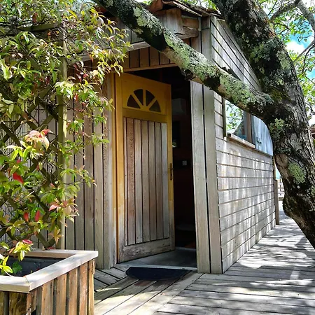 En Bois Climatisee Apartment *