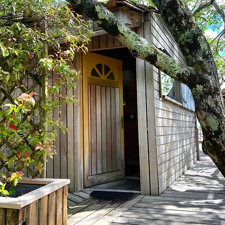 En Bois Climatisée Appartement *