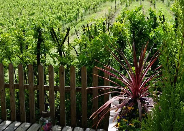 En Bois Climatisee *