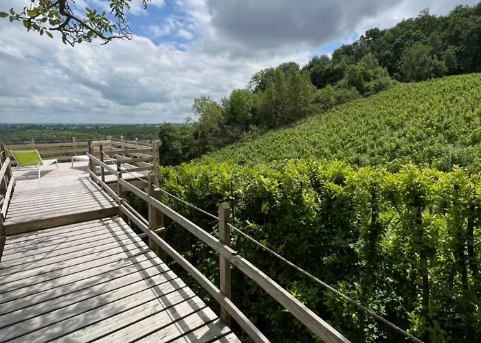 En Bois Climatisée Appartement Fronsac (Gironde)